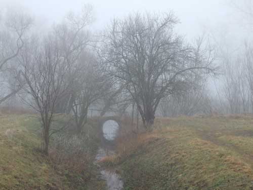 Nebelbrücke Hirschauer  Baggersee