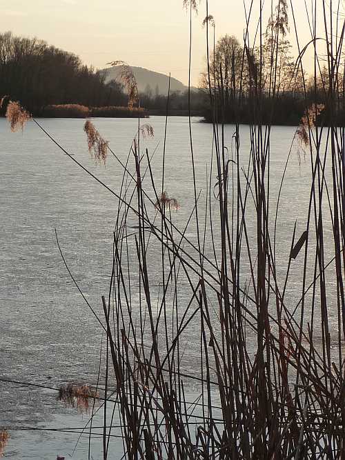 Eis am See in Hirschau