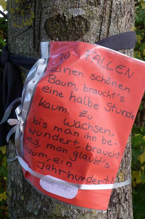 Baum-Gedicht am See Hirschau